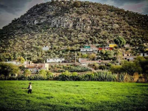 Guadalupe de tambula