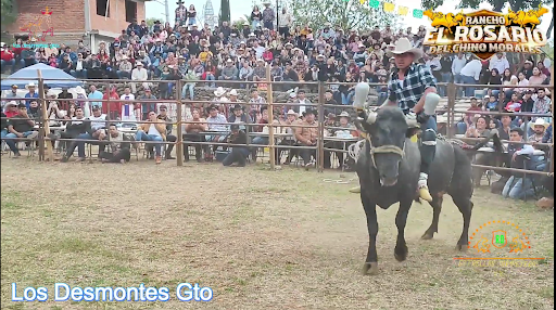 Los Desmontes Gto