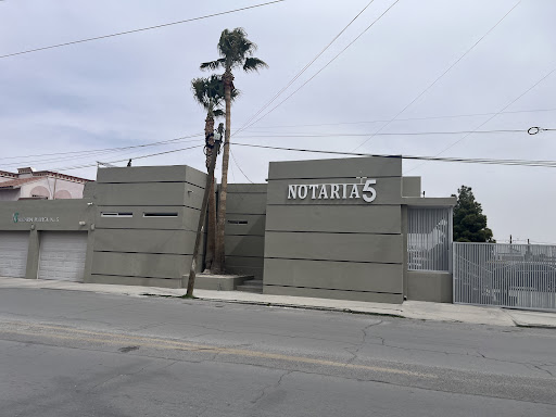 NOTARIA 5