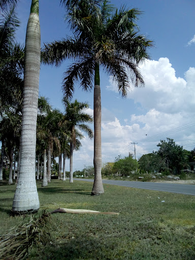Parque Principal Texan De Palomeque