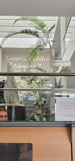 Notaria Publica No.7