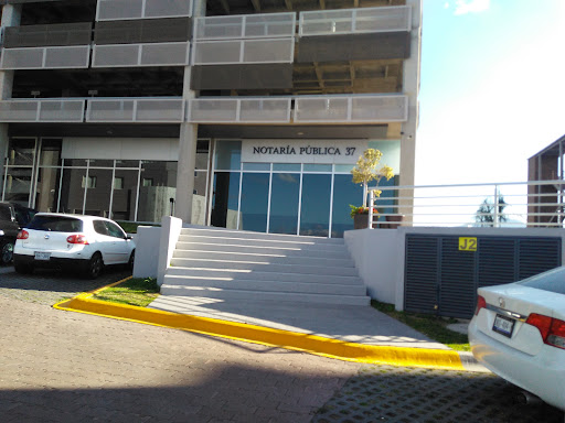 Notaría Pública 37