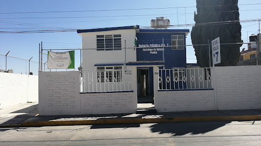 Notaria 7
