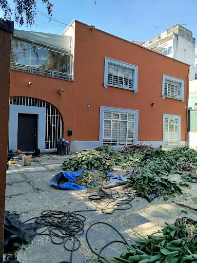 Notaría 65 de la Ciudad de México