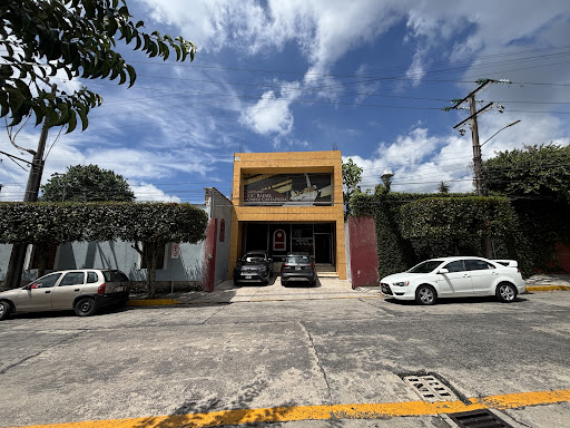 Notaría 7 Coatepec