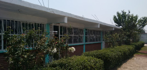 TELEBACHILLERATO COMUNITARIO NUM. 459, TULTECA TEOPAN, TEPETLAOXTOC.