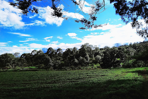 La Huevera