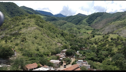 Amatanejo
