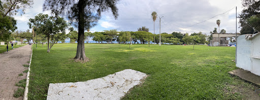 Notaria 2 Chapala