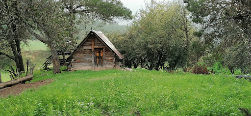 Galeana