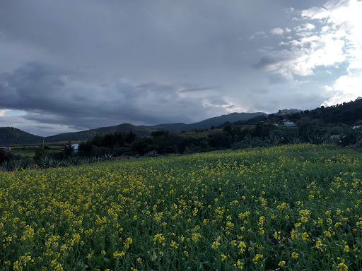 Calpanería Atezquilla