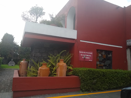 Notaria Pública 177