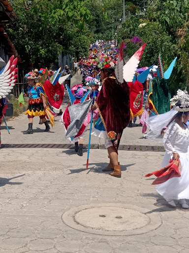 Nanacatlán