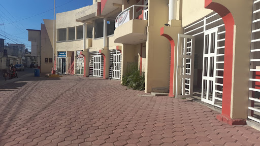 Presidencia Auxiliar San Rafael Tlanalapan