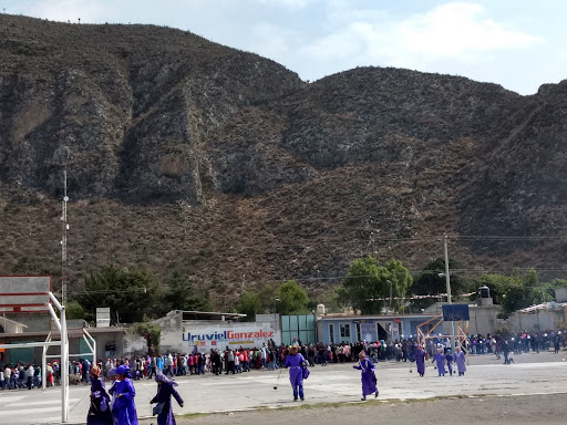 Parque De Tepetitlan