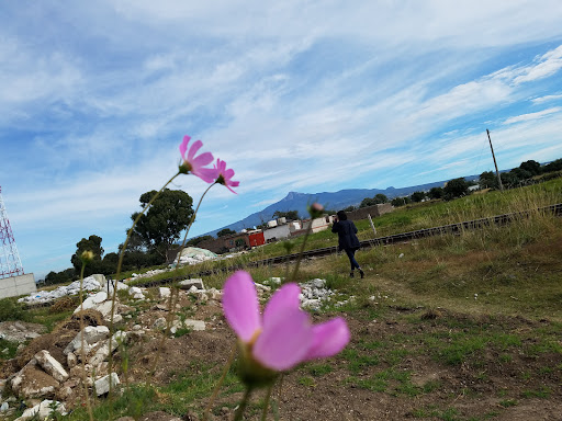 Santa María Nenetzintla