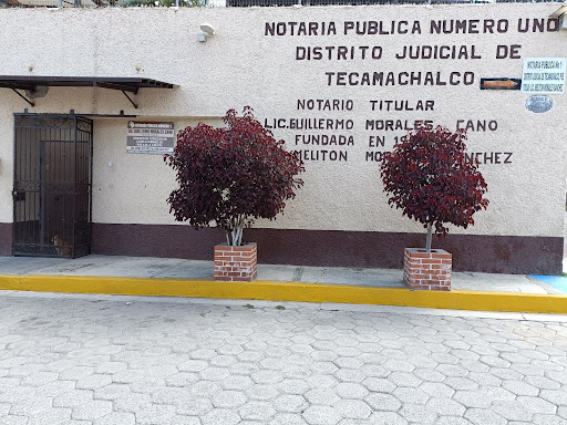 Notaria Publica Numero Uno