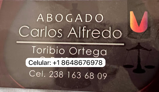 abogado carlos toribio de tlacotepec