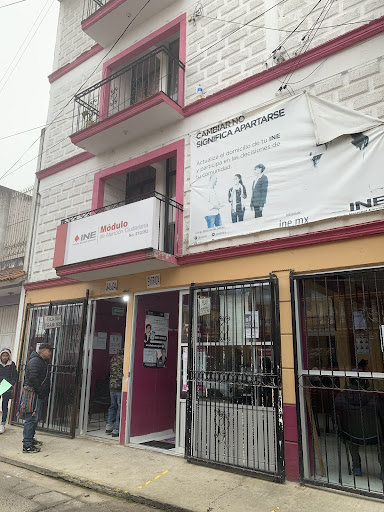 Instituto Nacional Electoral INE