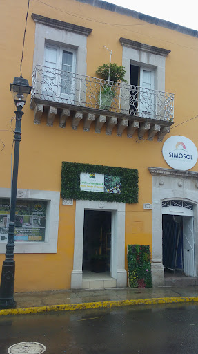 Notaría Pública 16