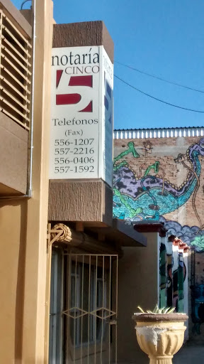 Notaría Cinco