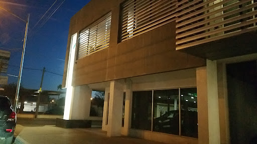 Notaría Pública 54