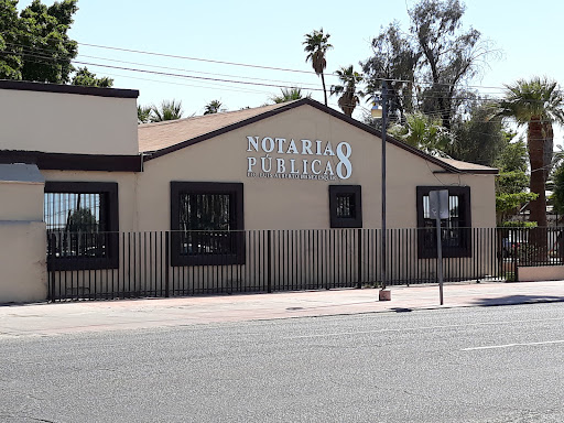 Notaria Publica No. 8