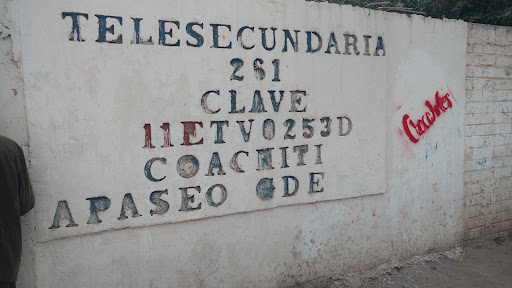 Escuela Telesecundaria 261 Apaseo El Grande
