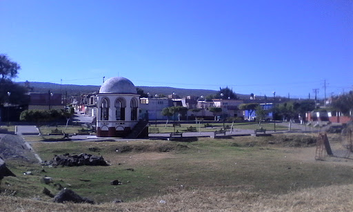 El Sauz